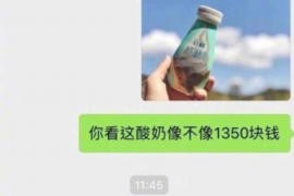 红岗为什么选择专业追讨公司来处理您的债务纠纷？